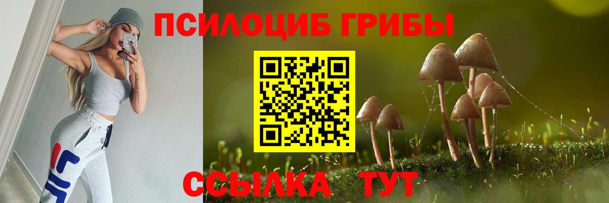 Галлюциногенные грибы мицелий Гурьевск